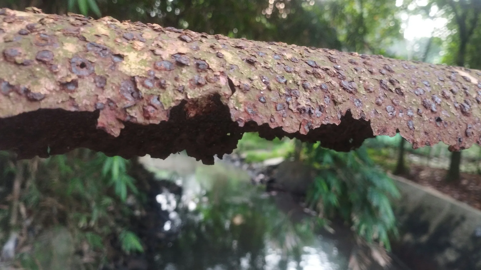 corroded base of an old water heater showing rust and mineral buildup - how old is too old for hvac and plumbing equipment